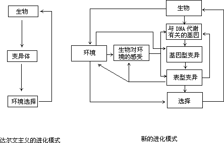 遗传的智慧性——适应性突变之争 - 图1