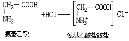 氨基酸 - 图2