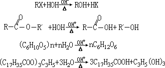 水解反应 - 图1