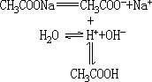 弱酸强碱盐的水解 - 图1