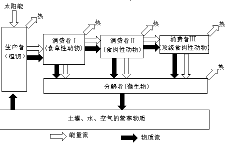 第二节 自然地理环境的物质循环 - 图7