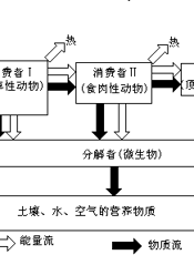 综合自然地理