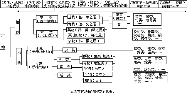 比较细的动植物分类认识 - 图1