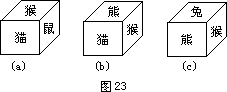 六只小动物 - 图1