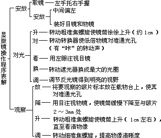 （二）重视实验基本技能训练 - 图1