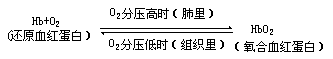 表 1 100 毫升血液中氧与二氧化碳含量 - 图1