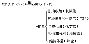 （二）分析法和综合法 - 图4