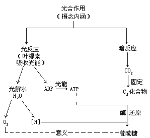 表 1 高中生物学的知识体系 - 图3