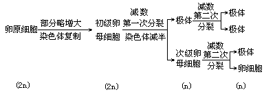 四、教学过程 - 图2