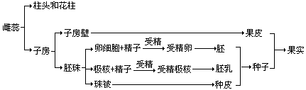 （三）系统化法和具体化法 - 图1