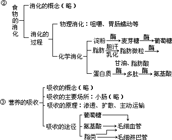 三、教学过程 - 图4