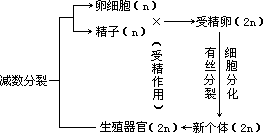 （二）直观形式及其运用 - 图1