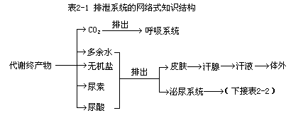 （二）生物学知识网络式结构的类型 - 图2