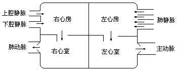 十、课堂教学过程 - 图1