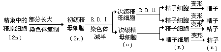 表 1 100 毫升血液中氧与二氧化碳含量 - 图2