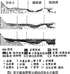 （三）沼泽发育过程 - 图2