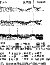 中国的沼泽