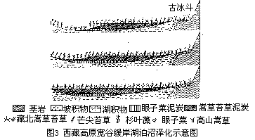 （三）沼泽发育过程 - 图3