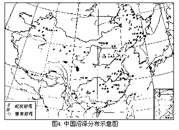 （一）沼泽形成时期 - 图1