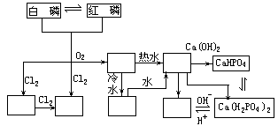 表 14-1 磷及其化合物知识复习表 - 图1