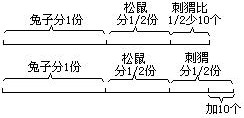 悟空分草莓 - 图1