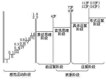 (二)有序性特征 - 图1