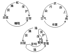 三、板书形式 - 图6