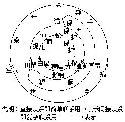 三、板书形式 - 图7