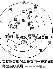 小学语文通用教案设计精编(之五)