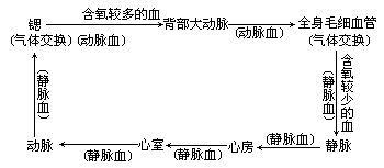 图解 - 图1