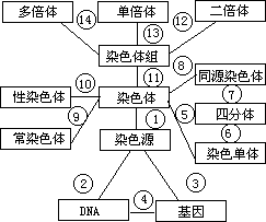 问题结构模式 - 图1