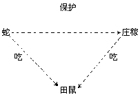 课堂教学方法实用系列全书出版说明 - 图66