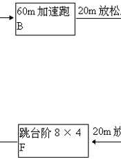 中小学教学小百科(60)体育科