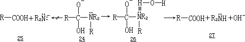 伴随酰胺水解中的羰基氧交换 - 图3