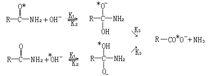 伴随酰胺水解中的羰基氧交换 - 图1