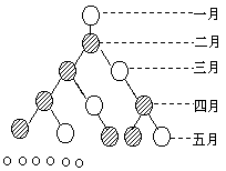 养兔 - 图1