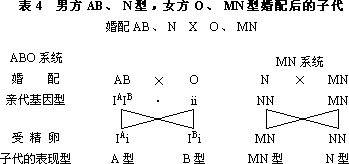 血型与遗传的关系 - 图1