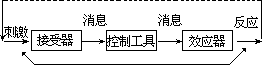 ——外语课堂教学模型设计 - 图26