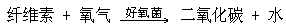 阅读材料 - 图20