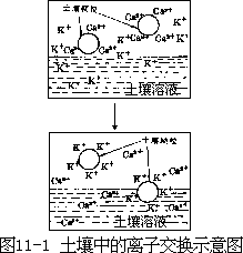 阅读材料 - 图136