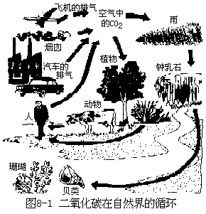 阅读材料 - 图108