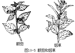 阅读材料 - 图133