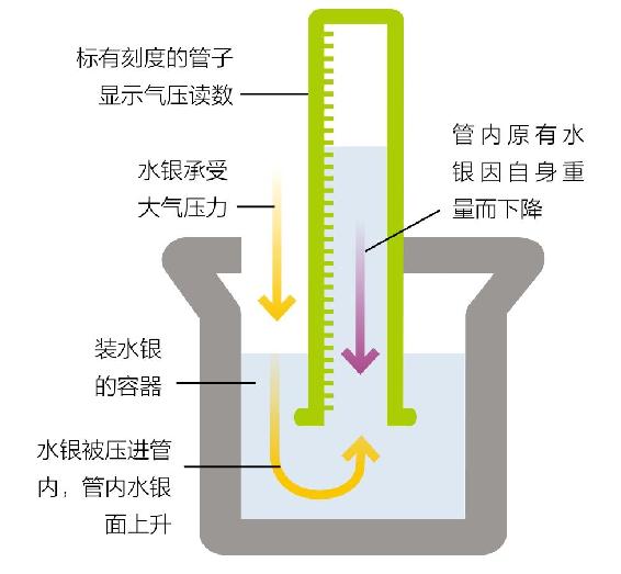 普遍怀疑法 - 图3