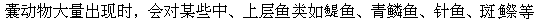 被囊动物 - 图1