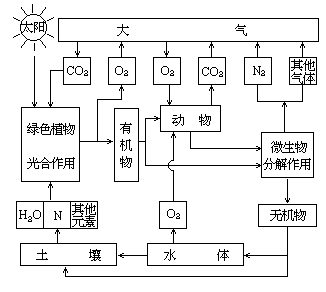 1991 年试题参考答案及评分标准 - 图3