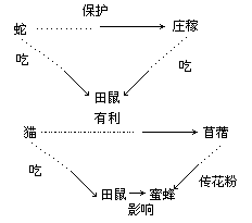 信号图表设计与例说 - 图5