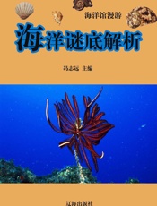 海洋馆漫游——海洋谜底解析