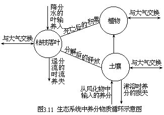 第四节 生态系统 - 图1