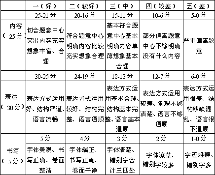 分项分等评分标准 - 图2