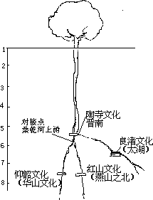 三.综合题 - 图1